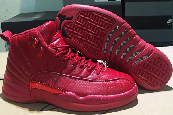 Jordan 12-053